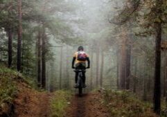 Benefits of Riding E-Bikes in National Parks